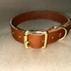 1” Dog Collar: Saddle Brown With Brass