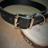 1” Dog Collar: Black With Silver Hardware